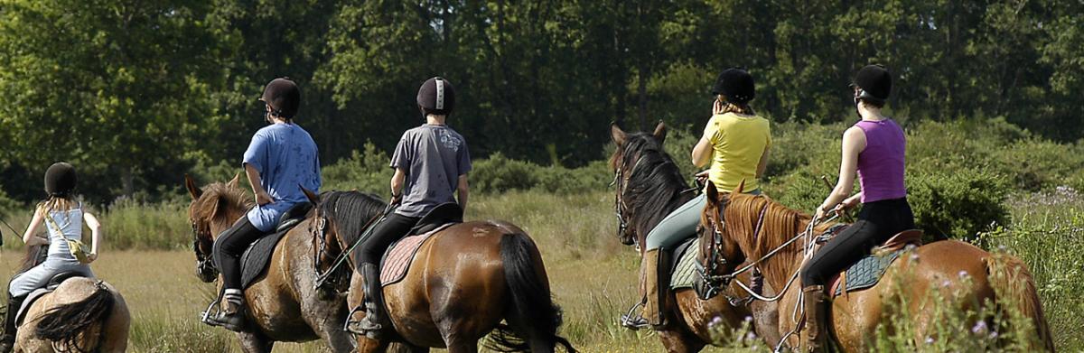 Sortie equestre