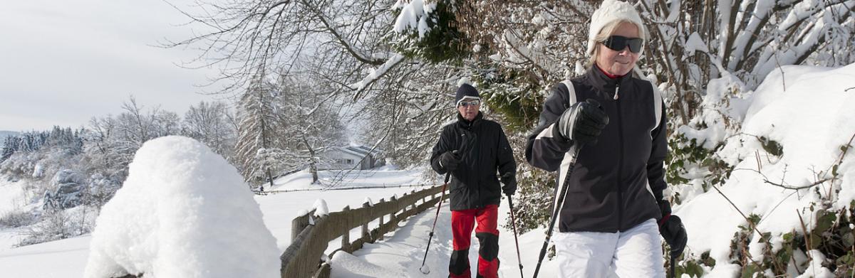 Randonée à ski de fond