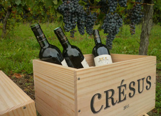 Les vins Château Crésus