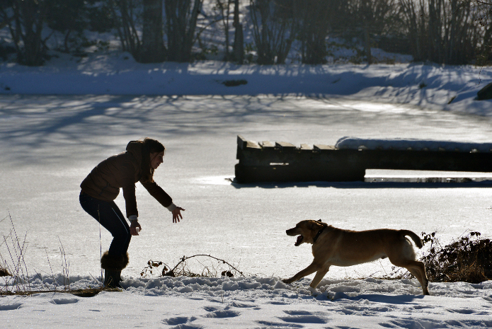 L'Etang en hiver