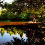 L'Etang en été