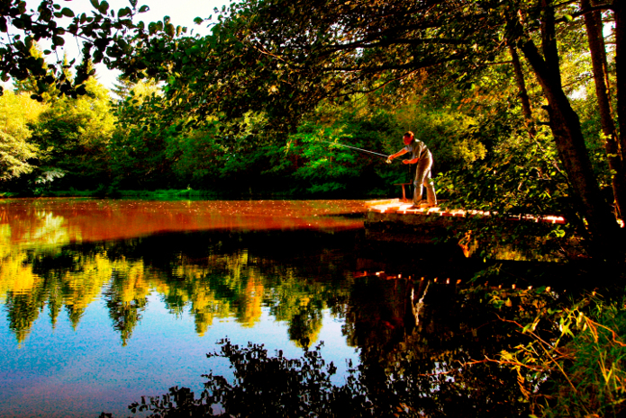 L'Etang empoissonné