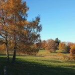 L'Automne à L'Eclache