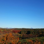 L'Automne à L'Eclache