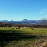 Vue du plateau de Gergovie