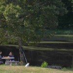 L'Etang à la belle saison