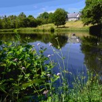 L'Etang au Printemps