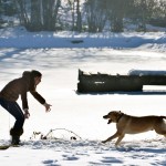 L'Etang sous la neige